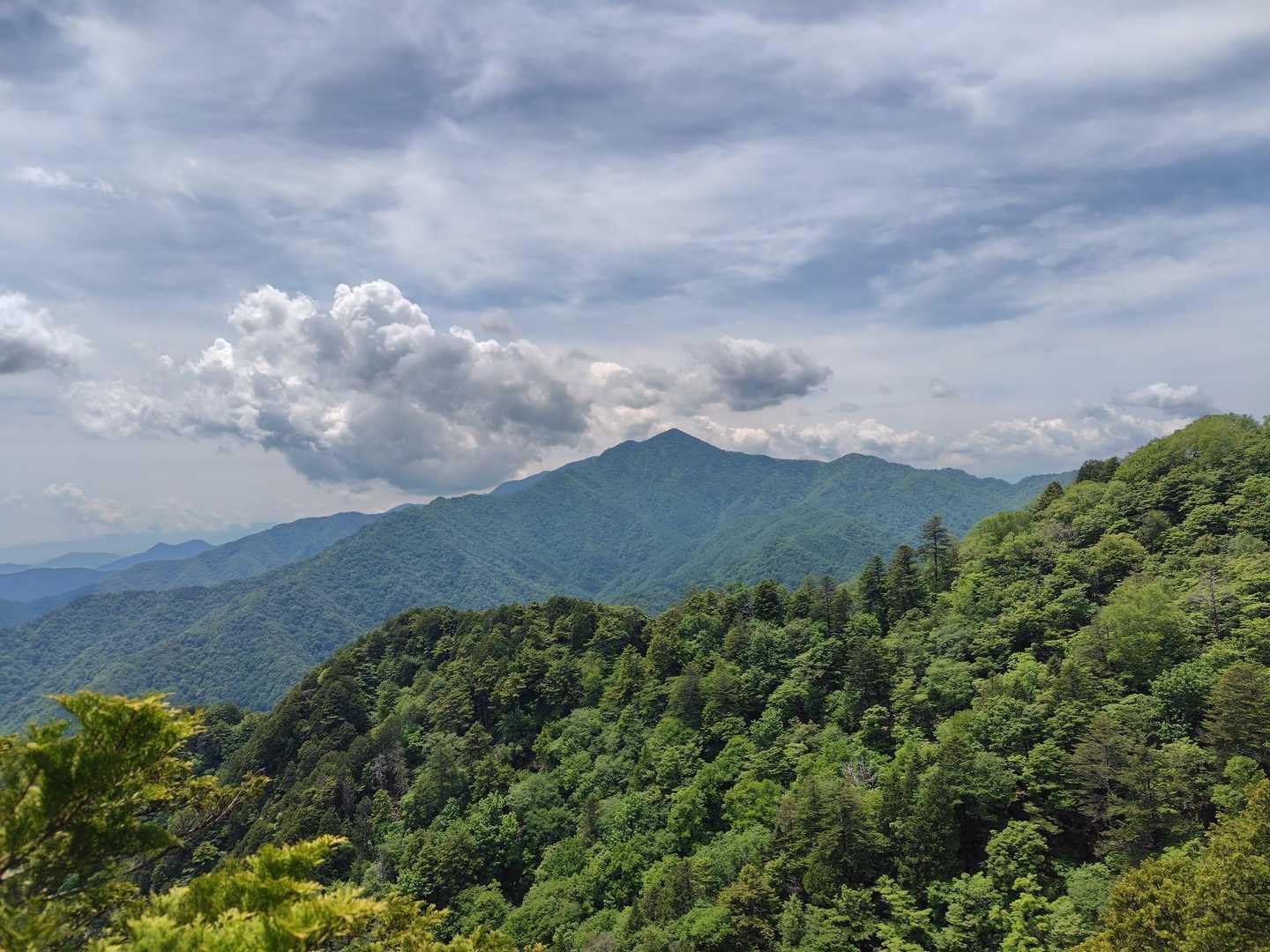 【JAPAN TRAIL】大菩薩連嶺登山道④（大菩薩嶺 - 落合）の写真