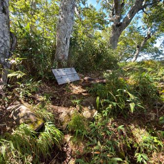 札幌岳縦走の分岐
ほぼ山頂の近く
