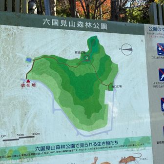 公園なんだぁ