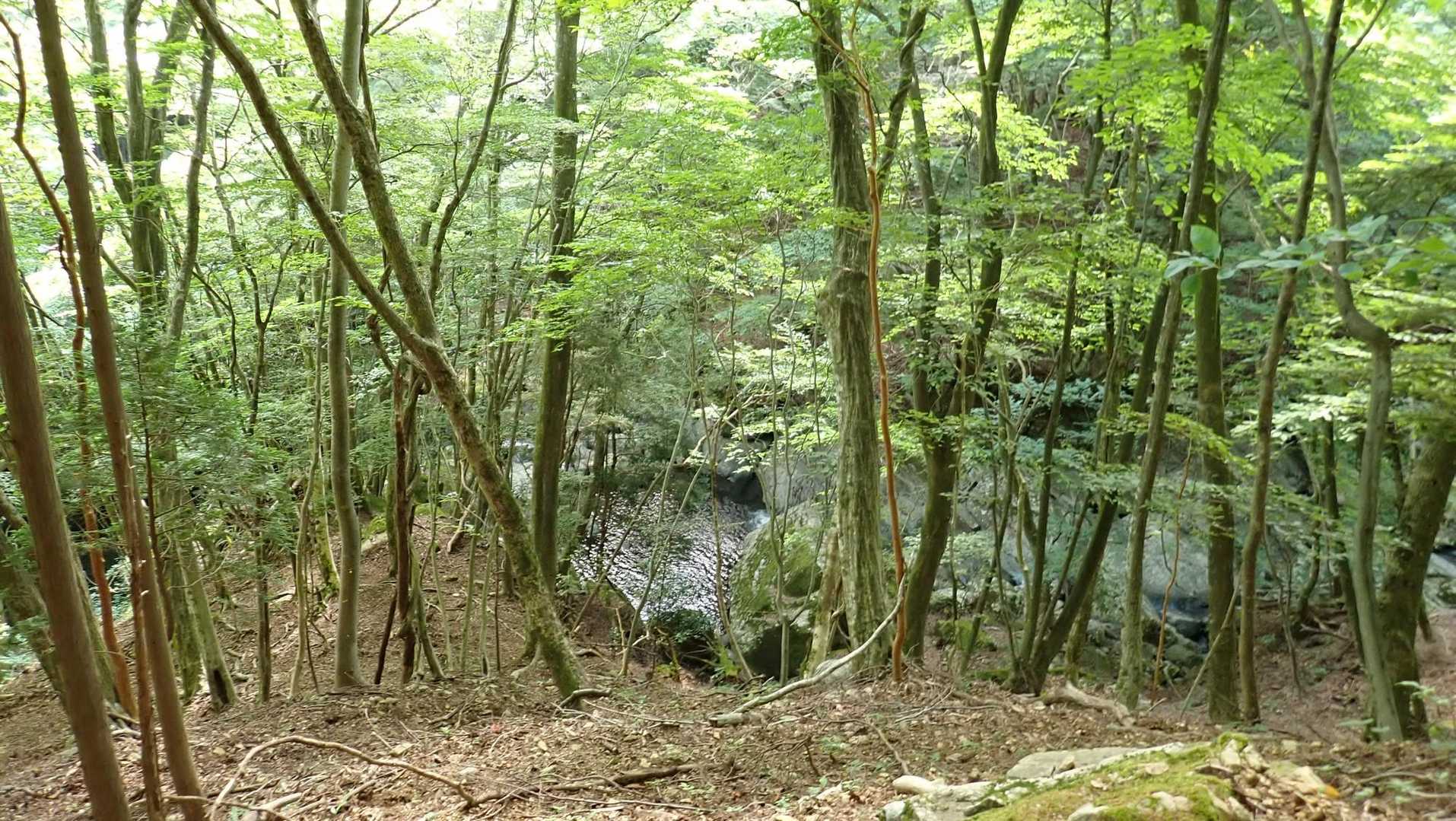 川沿いはここまで。