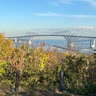 東の小山の頂上からの東京ゲートブリッジ
