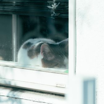 あんら〜
お昼寝中