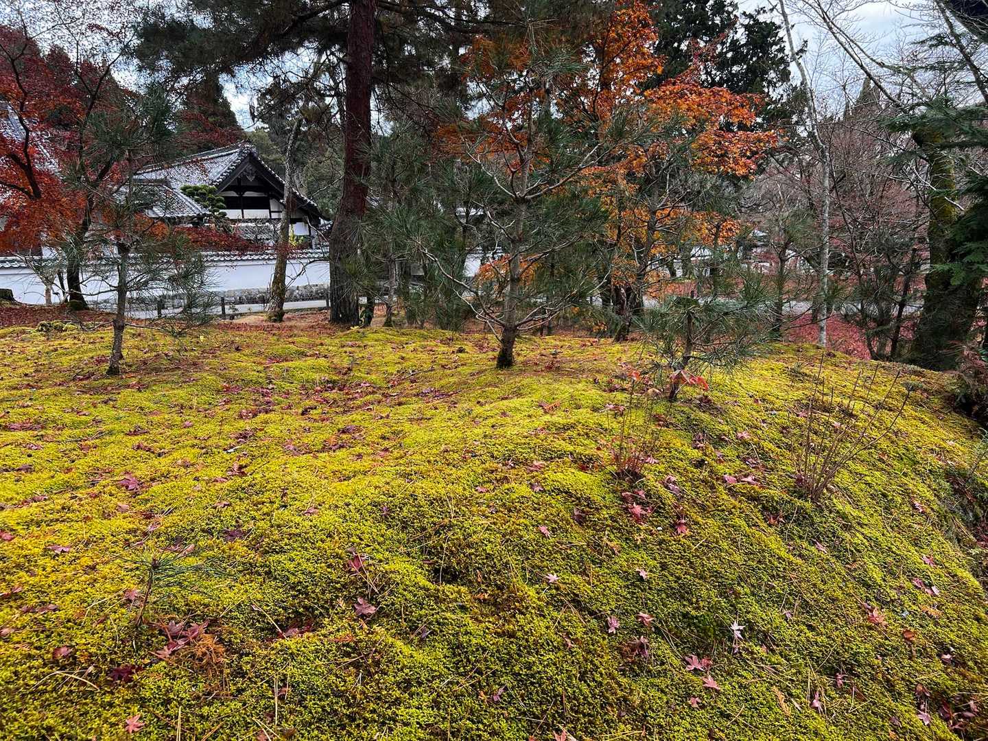 哲学の道-京都一周トレイル東山48番登山口-大文字山-如意 縦走コースの写真