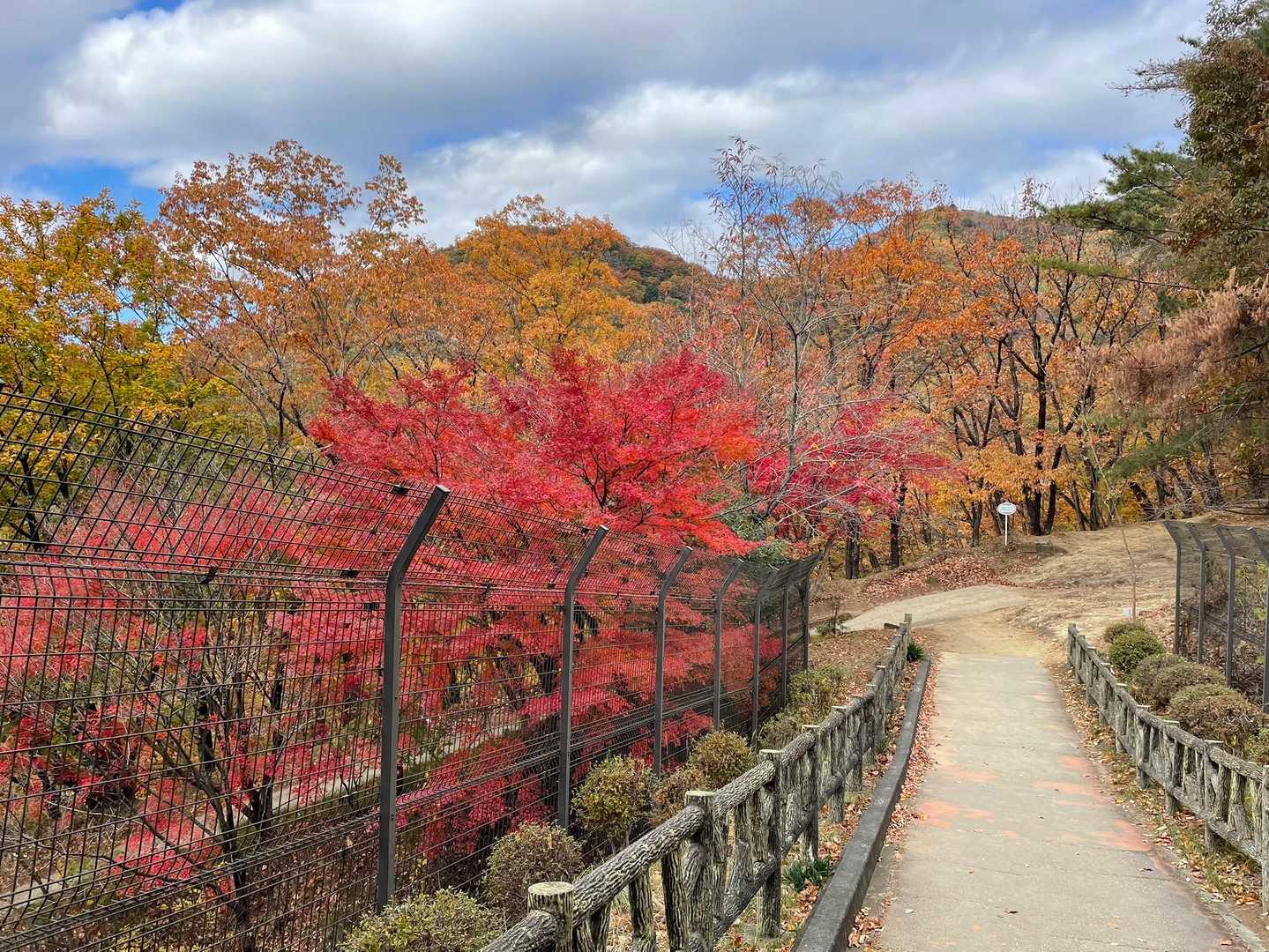 吾妻山入り口-吾妻山登山口-吾妻山-岩木戸山-萓野山 往復コースの写真