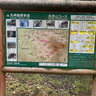 奉幣殿で今日の山歩きの安全を祈願、さらに
石段を登ったところにある九州自然歩道の
英彦山ルートの説明看板。見どころ満載だ！