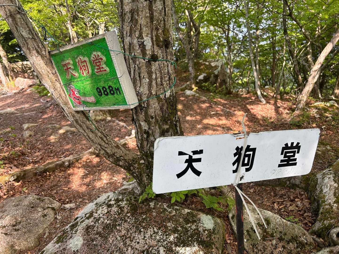 天狗堂-P924-サンヤリ 往復コースの写真