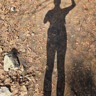 足長おばさんꉂ🤣𐤔