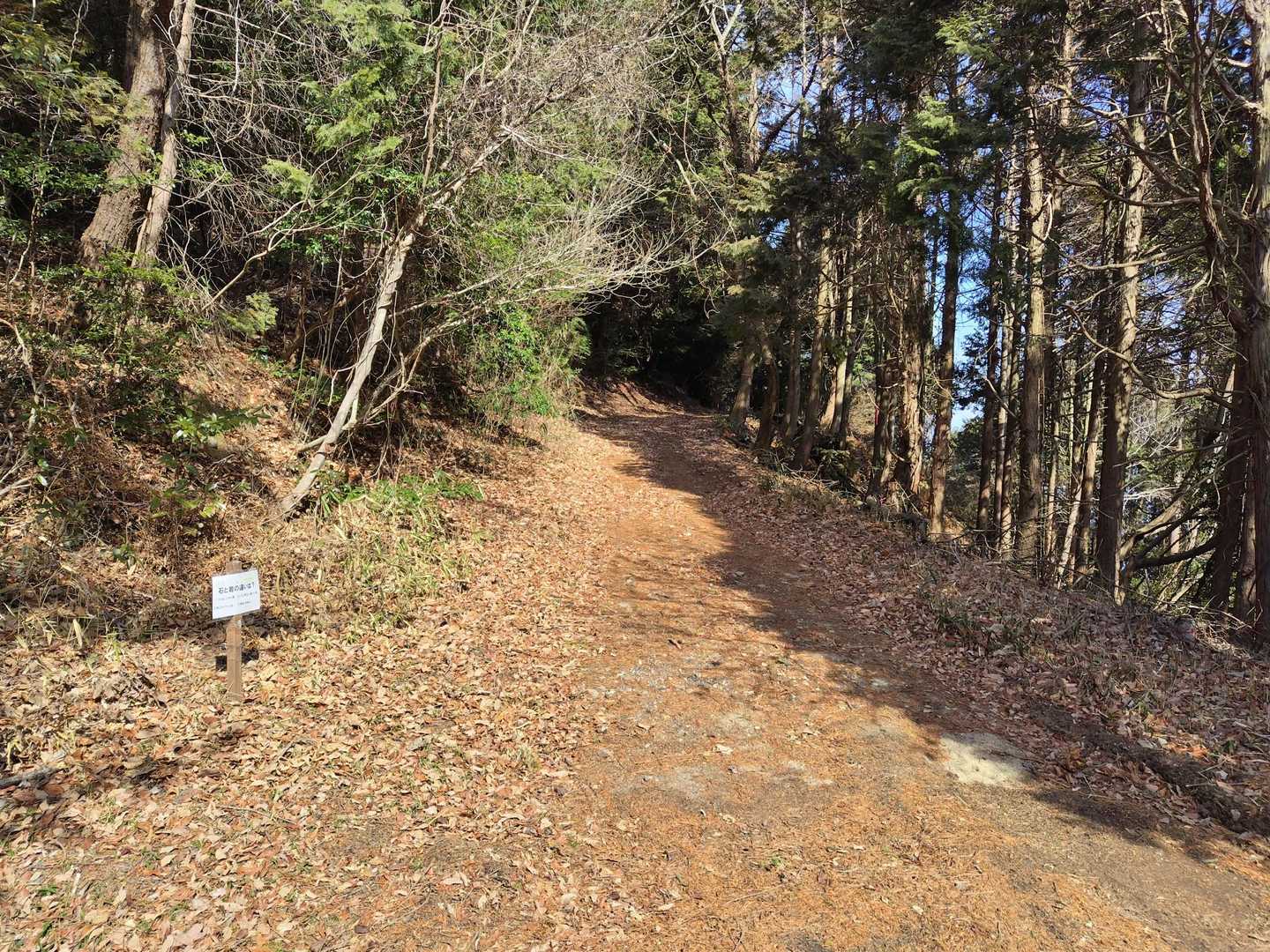 銭壷山-霧峯神社-大将軍山 縦走コースの写真