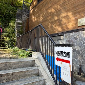ここから一気に400メートルの急登😤