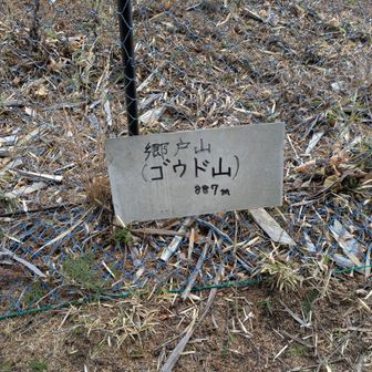 この看板は転がってました🤣