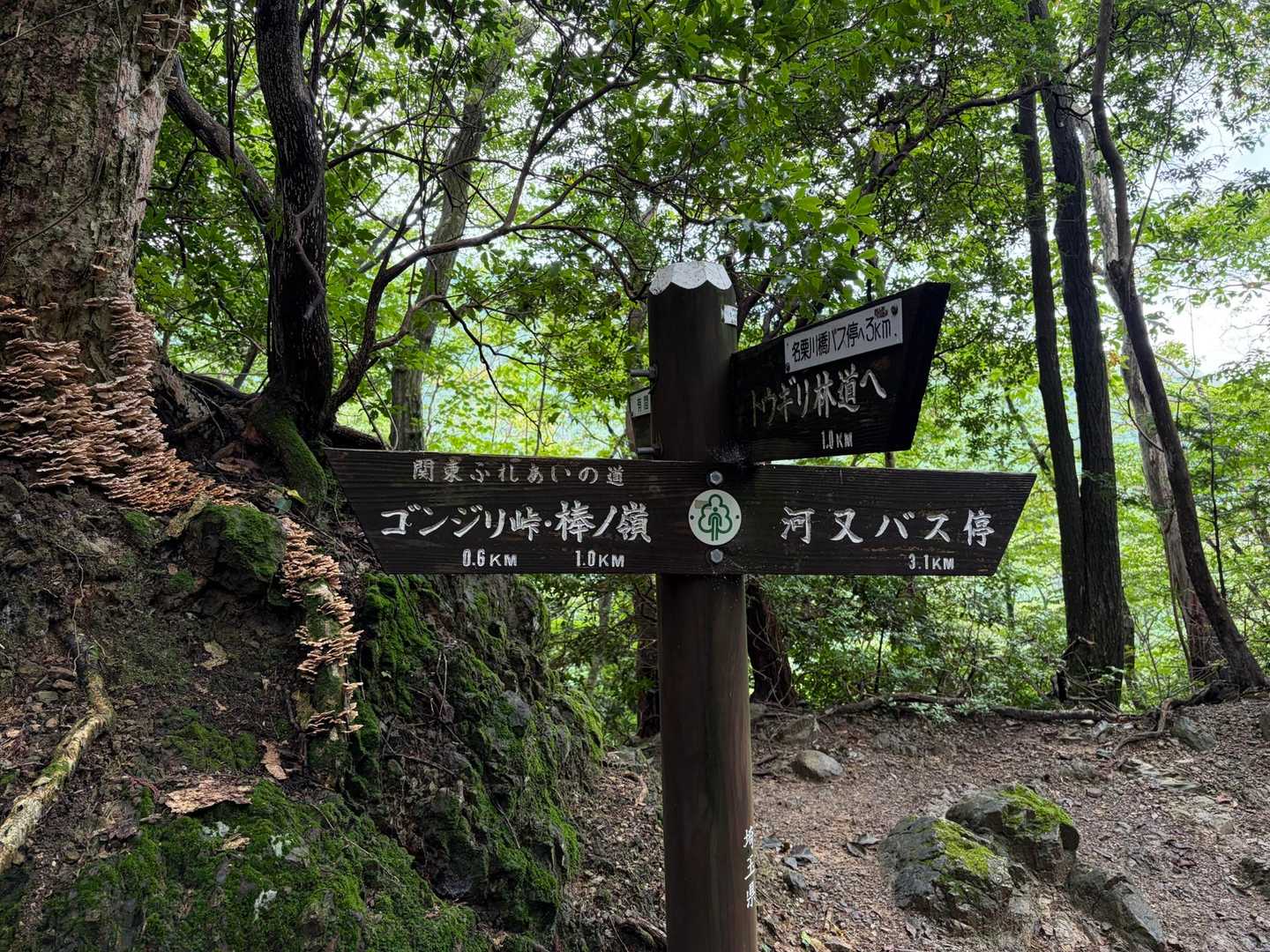 岩茸石まで下ってきました。
今回は「河又バス停」方面の尾根道へ下ります。