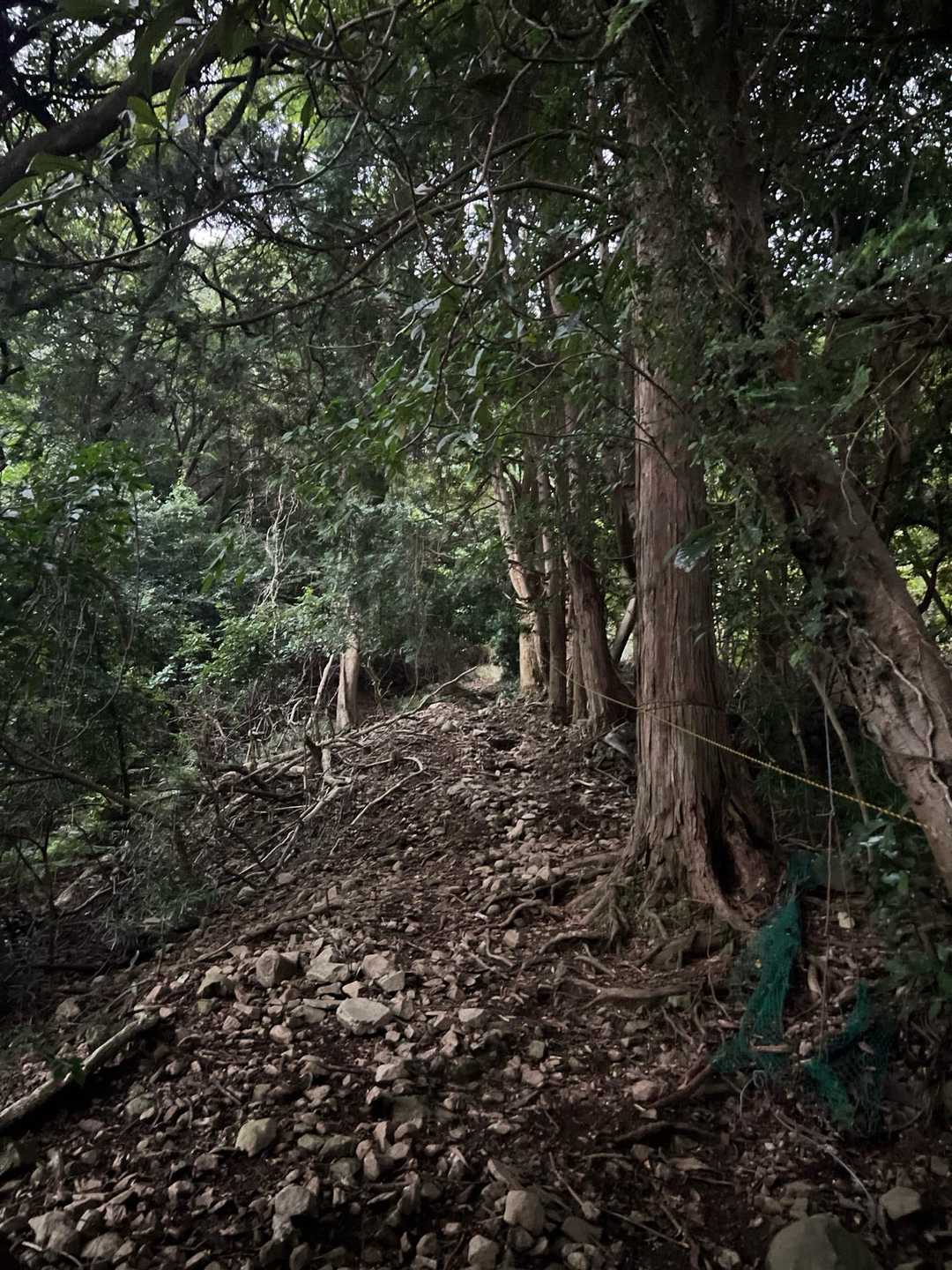 発端丈山（三津）の写真