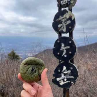 よもぎもちあんぱん