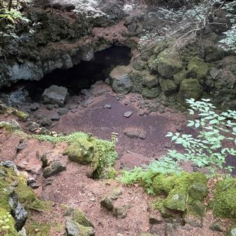 穴の中に入るにつれて空気は涼しくなって行きます。