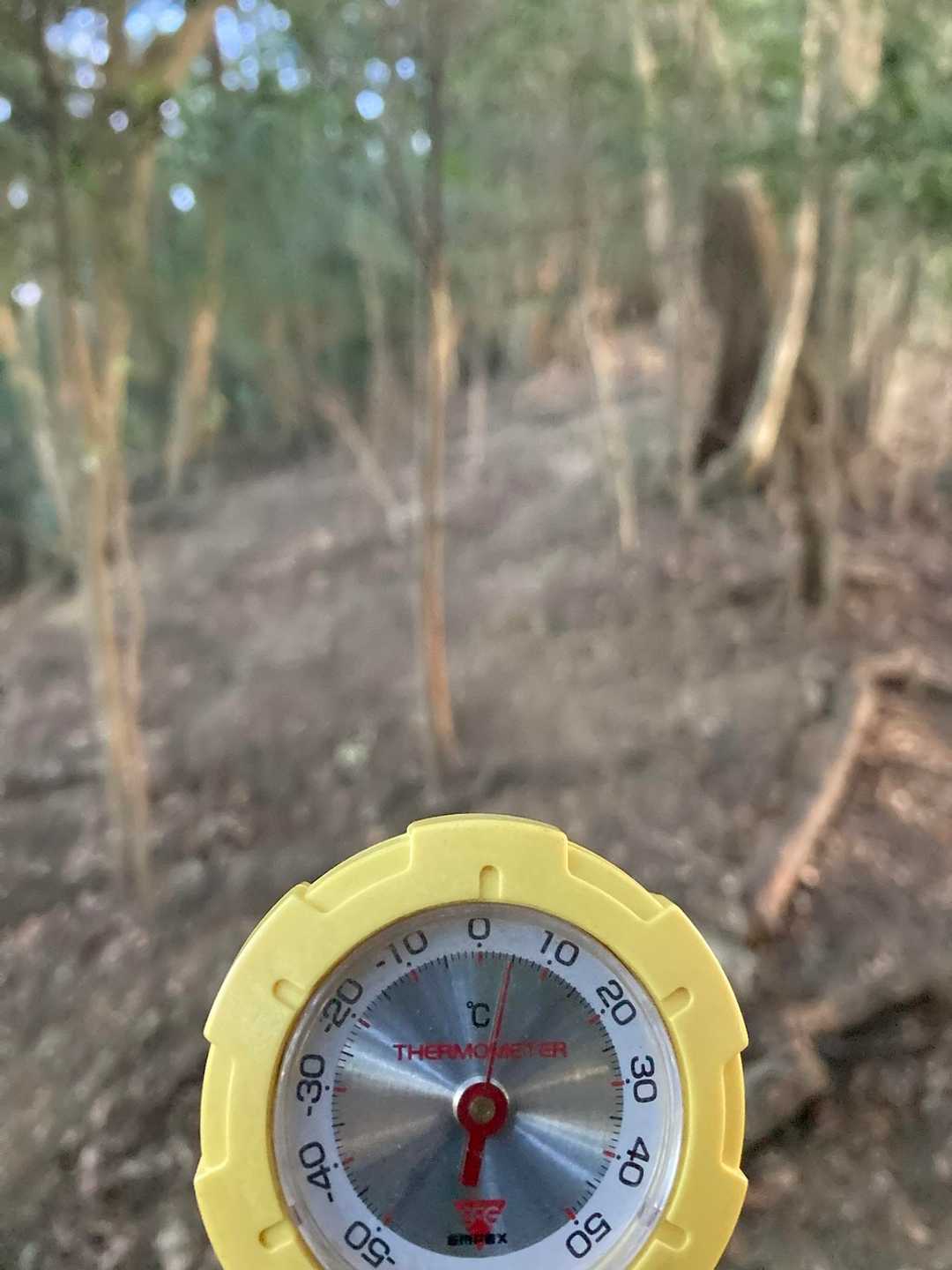 気温4℃
尾根を上ると暑くなってきた😅
（この後2℃まで下がりましたが、寒くはなかった）