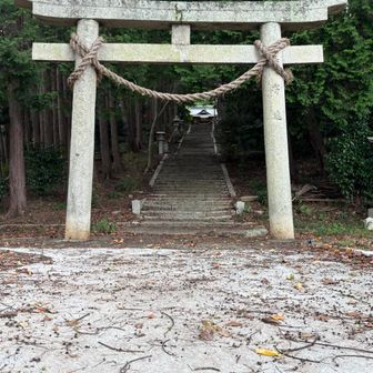イイ参道が続いてるよ⛩️
