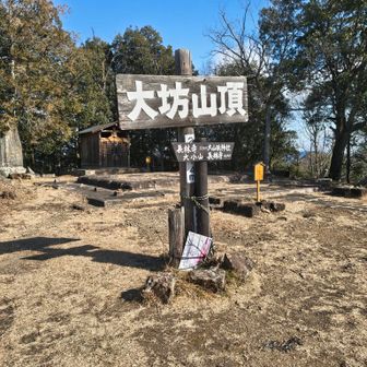 デカい。主張がすごい。