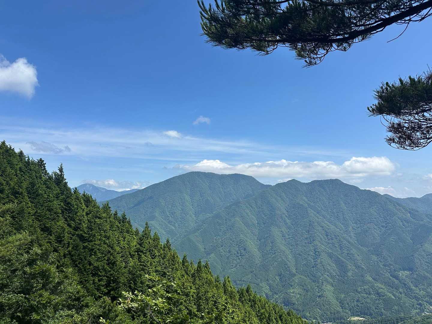見惚れる🤩