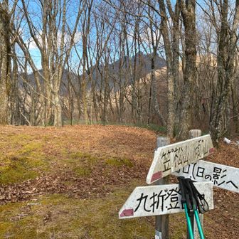 なかなか^ ^上手にここまで降りて来ました^ ^。
だいぶ安心です😮‍💨　大休憩とりましょう。