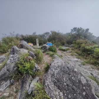 山頂は、中くらいの広さ👍