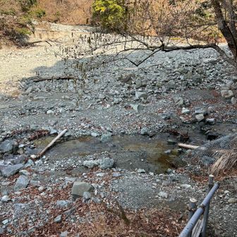 最初の渡渉💦チョロ！
寄大橋から上流は呼び名が中津川から寄沢に変わるのかな？