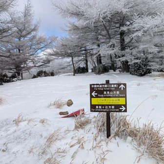 青、こっち来いよ
昔誰かが言ってたよーな🤔