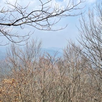 条件良ければ富士山見えるかも。