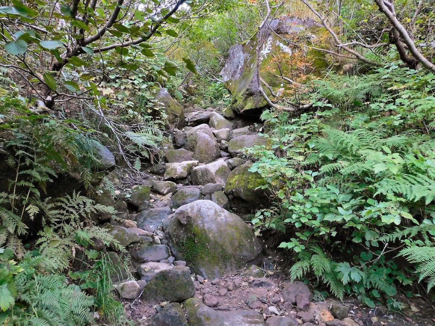 大きな石の急登を登ります。