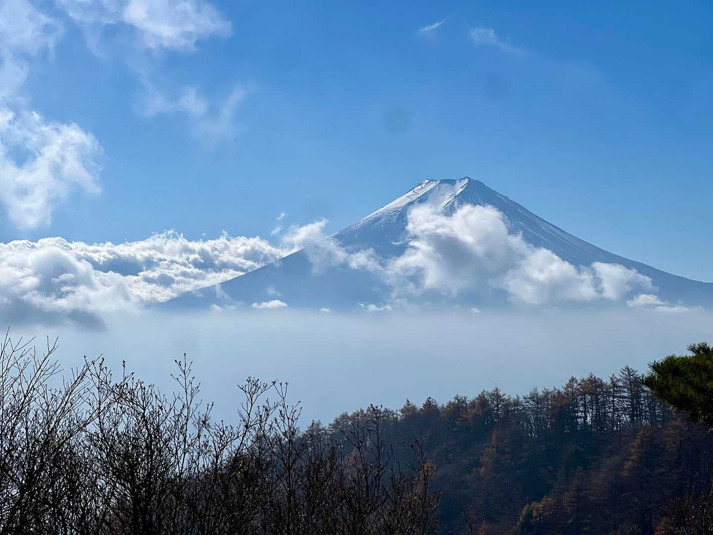 三ッ峠山登山口-三ッ峠山-木無山 往復コースの写真