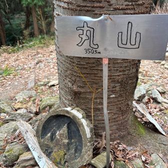 丸山
5℃でした