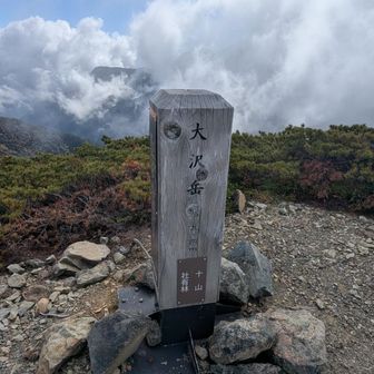 大沢岳とうちゃこー✌
ここの登り返しがガレガレでかなり体力削られた😣