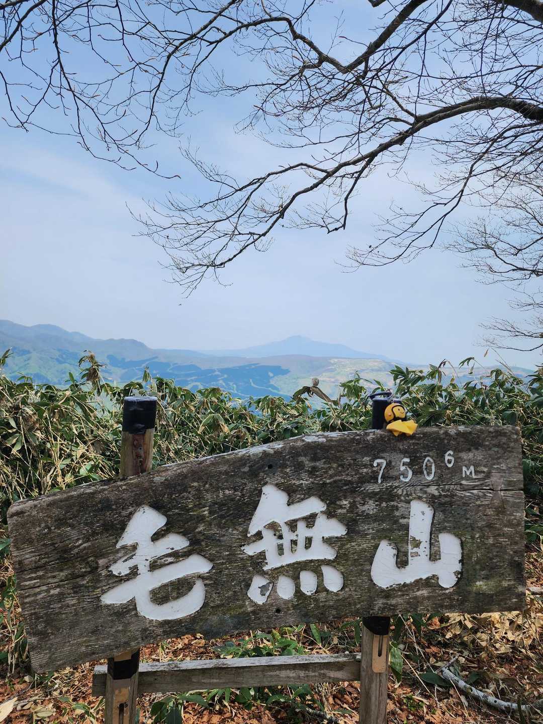 毛無山▲到着🙌