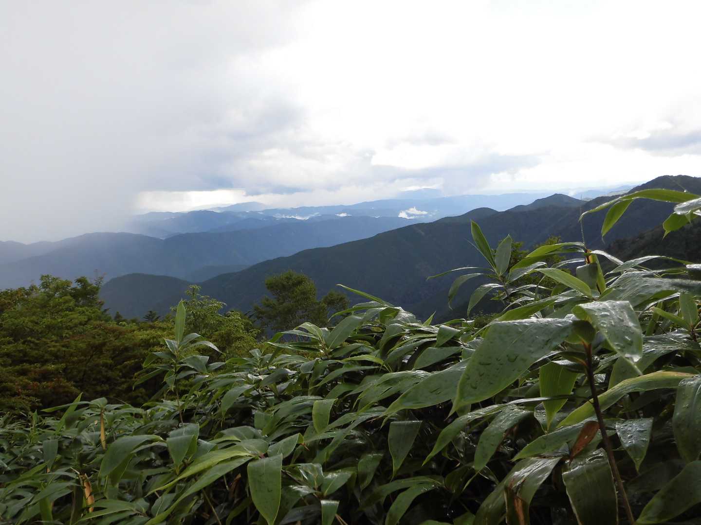 黒谷林道入口-白草山 往復コースの写真