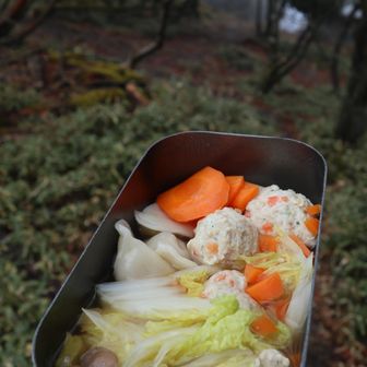 久しぶりに、鶏つみれ鍋 (´ڡ`*)