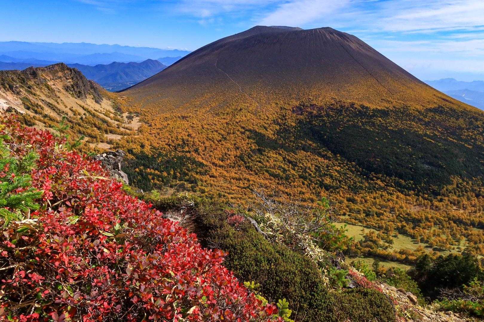 赤色に紅葉した草も入れて、
浅間GOLD BLEND完成☕️