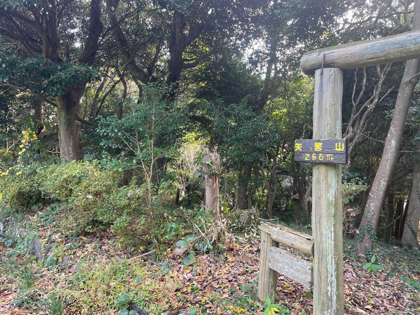 矢筈山山頂
キャンプ場なのでトイレなどもあって色んなとこで休憩できそうでした