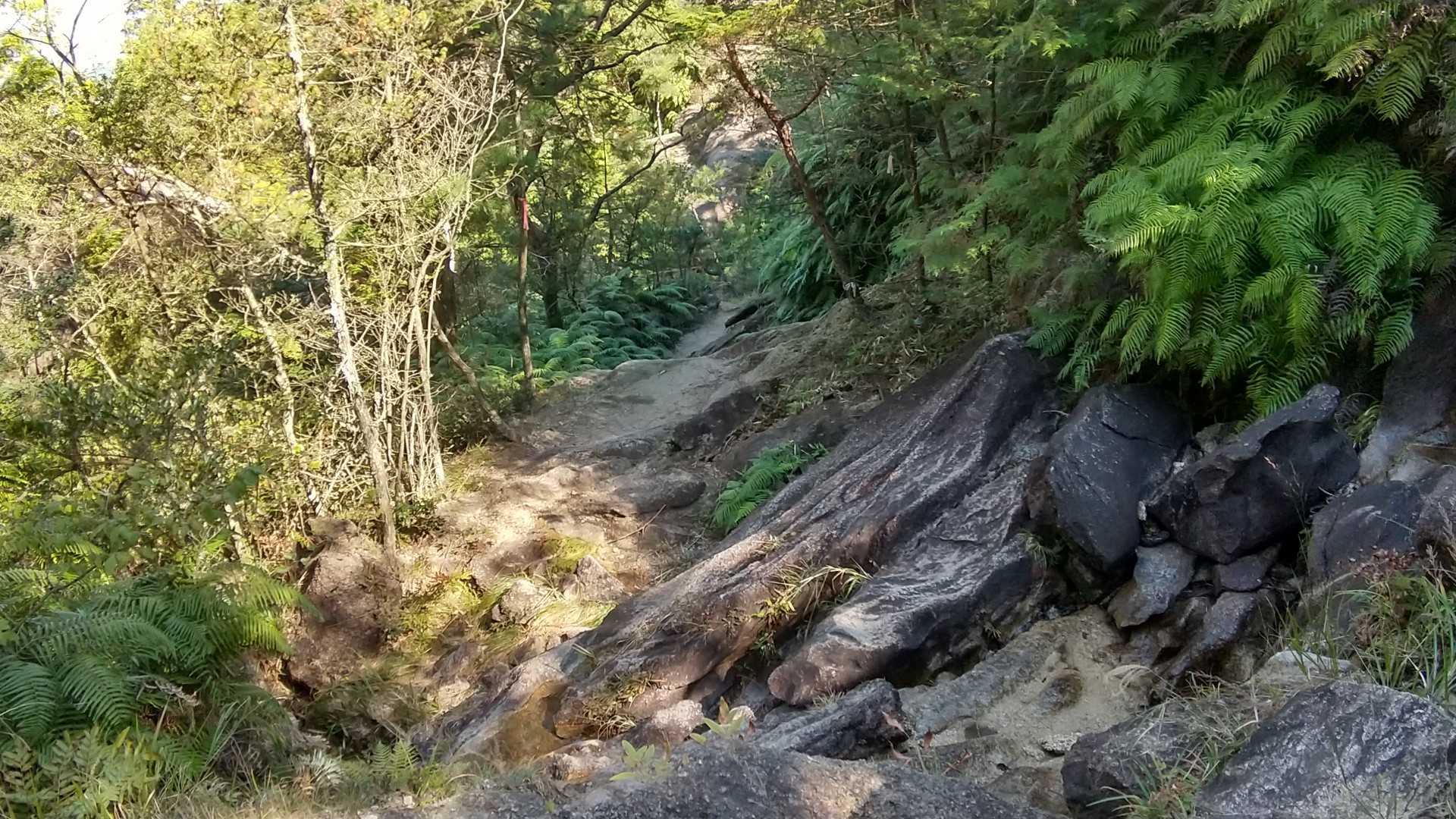 天狗岩 往復コースの写真