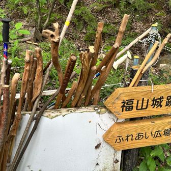 杖、多すぎ！