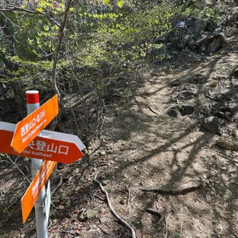 稜線に乗った。西御荷鉾山の道標の色はオレンジで統一されてるが、この色は初めて見る