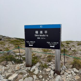 極楽です。