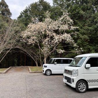 岩湧寺の第一駐車場からスタート