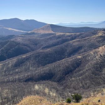 ピラミッドみたいな一目山