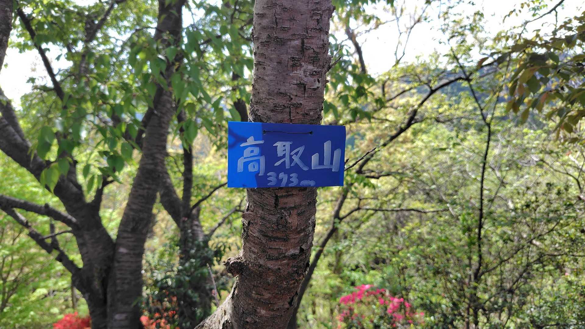 山頂標識
