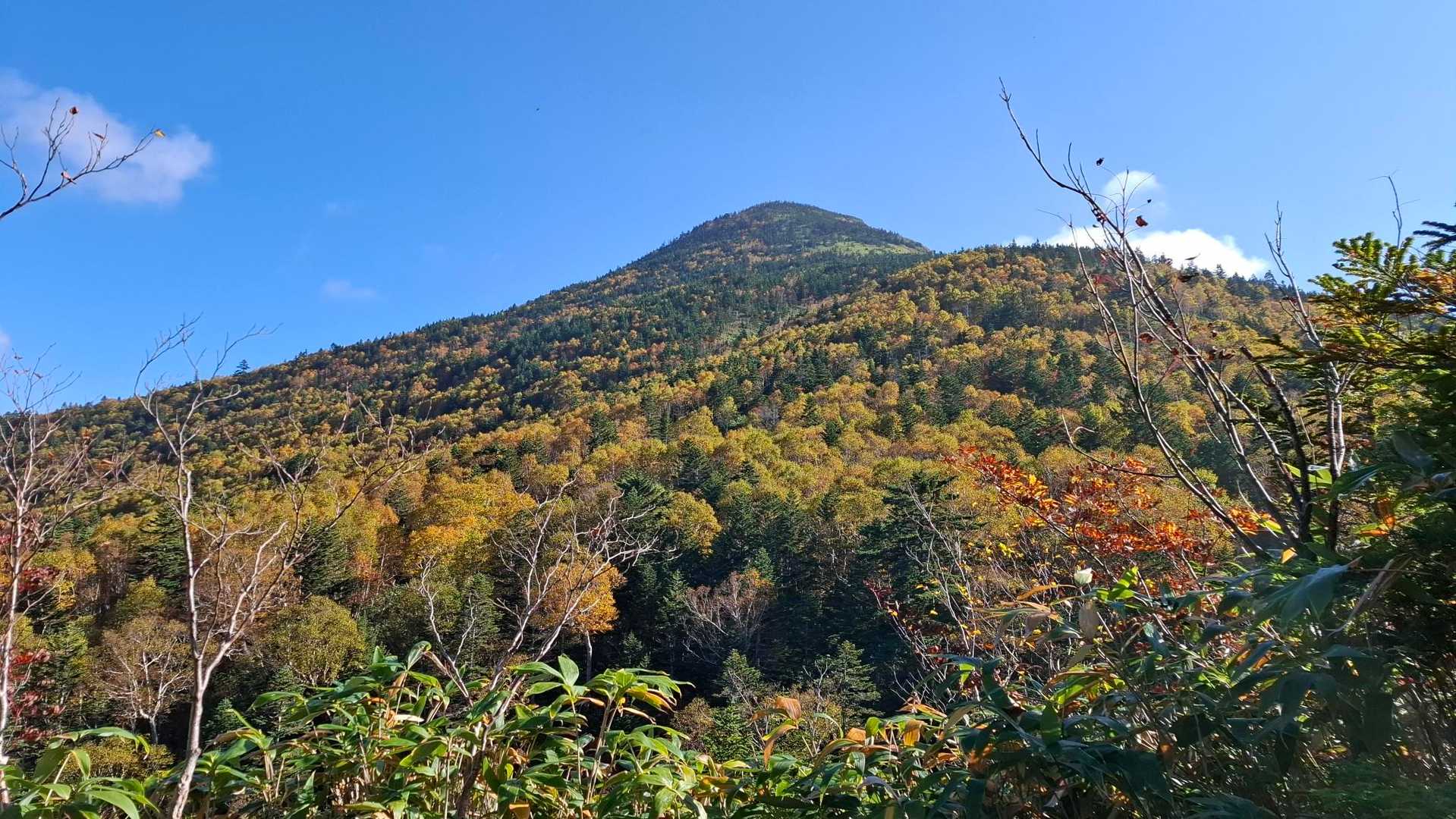 岩菅山山頂が見えた！