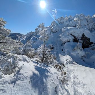 下って又登ります
急坂で尻セ−ドになっちゃた😆