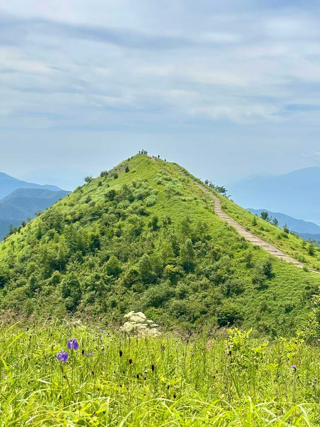ワレモコウと飯盛山