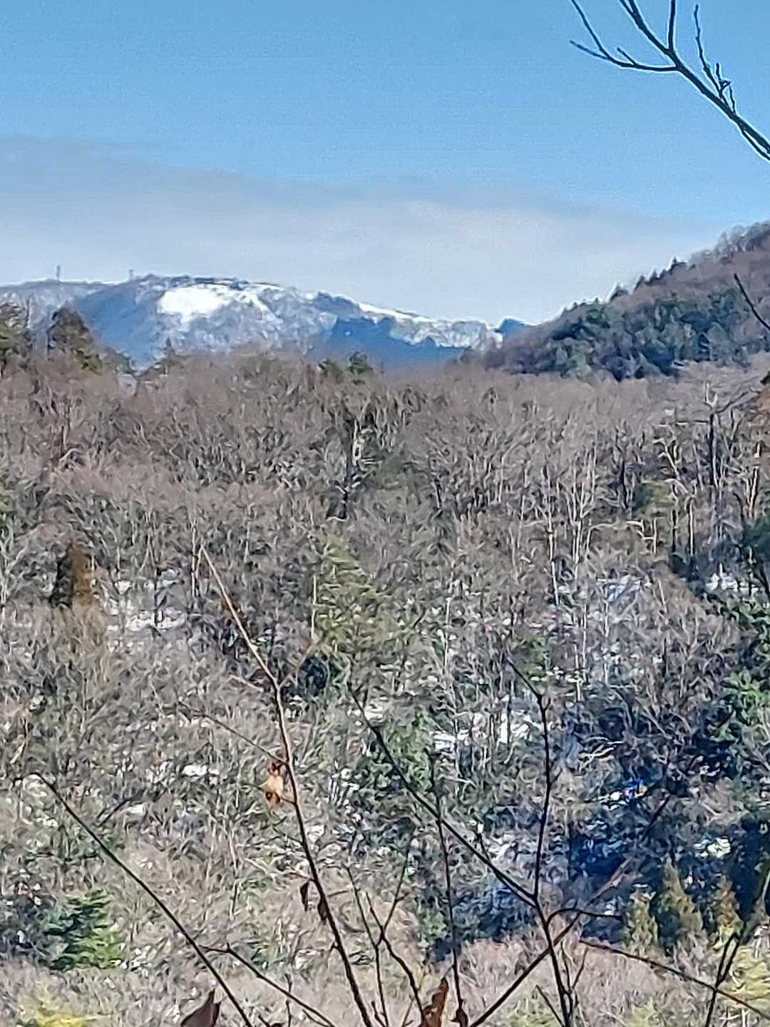 どこか