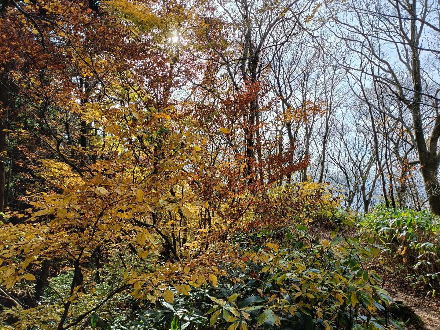 角田山（浦浜登山口）<浦浜コース>の写真