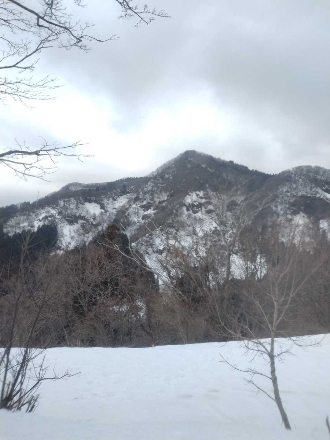 エボシ山登り口-エボシ山 往復コースの写真