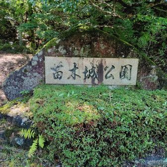 ヤレヤレ、もう少しで駐車場到着、お疲れさまでした